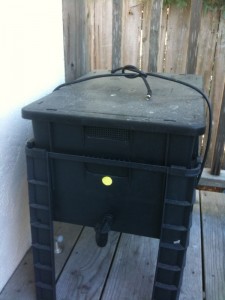 worm-bin