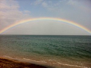 Maui rainbow